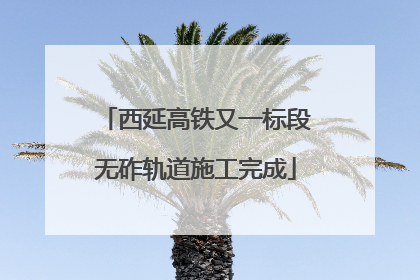 西延高铁又一标段无砟轨道施工完成