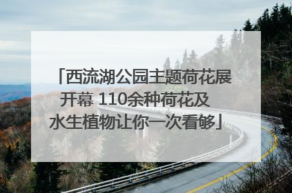 西流湖公园主题荷花展开幕 110余种荷花及水生植物让你一次看够