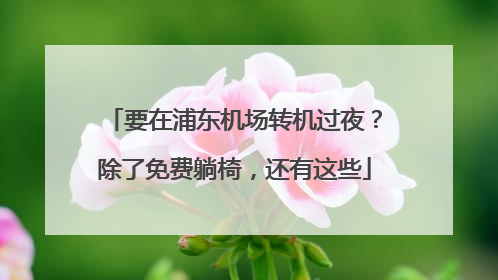要在浦东机场转机过夜？除了免费躺椅，还有这些