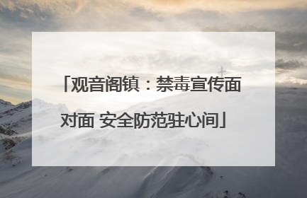 观音阁镇：禁毒宣传面对面 安全防范驻心间