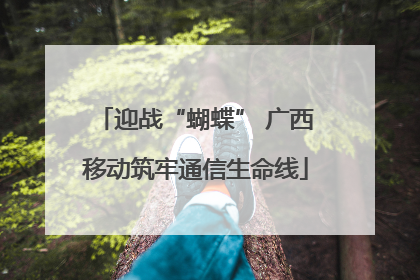 迎战“蝴蝶” 广西移动筑牢通信生命线