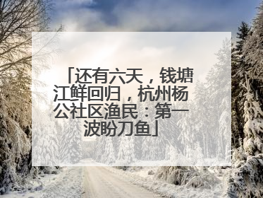 还有六天，钱塘江鲜回归，杭州杨公社区渔民：第一波盼刀鱼