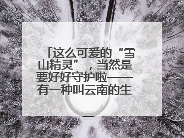 这么可爱的“雪山精灵”，当然是要好好守护啦——有一种叫云南的生活之365天