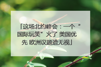 这场北约峰会：一个“国际玩笑”火了 美国优先 欧洲议题遭无视