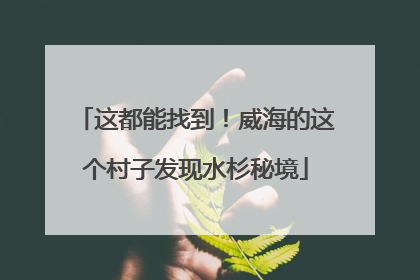 这都能找到！威海的这个村子发现水杉秘境