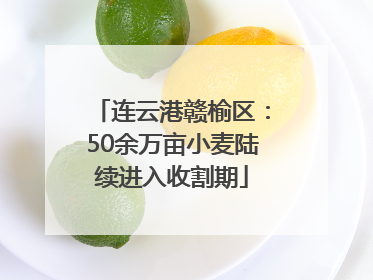 连云港赣榆区：50余万亩小麦陆续进入收割期