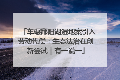 车碾鄱阳湖湿地案引入劳动代偿：生态法治在创新尝试｜有一说一