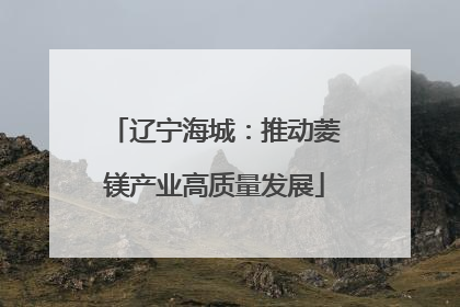 辽宁海城：推动菱镁产业高质量发展