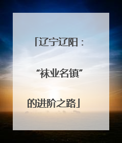 辽宁辽阳：“袜业名镇”的进阶之路