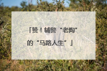 赞！辅警“老陶”的“马路人生”
