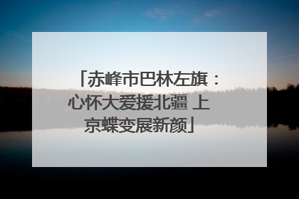 赤峰市巴林左旗：心怀大爱援北疆 上京蝶变展新颜