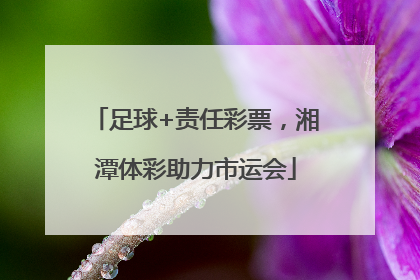 足球+责任彩票，湘潭体彩助力市运会
