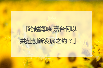 跨越海峡 嘉台何以共赴创新发展之约？