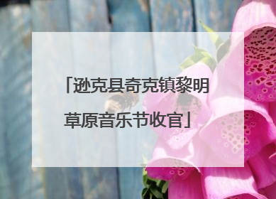 逊克县奇克镇黎明草原音乐节收官