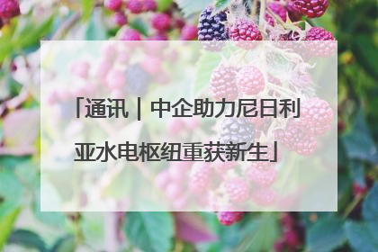 通讯｜中企助力尼日利亚水电枢纽重获新生