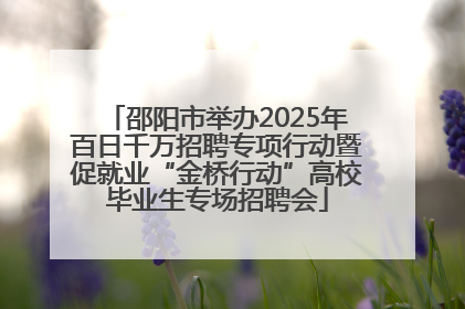 邵阳市举办2025年百日千万招聘专项行动暨促就业“金桥行动”高校毕业生专场招聘会