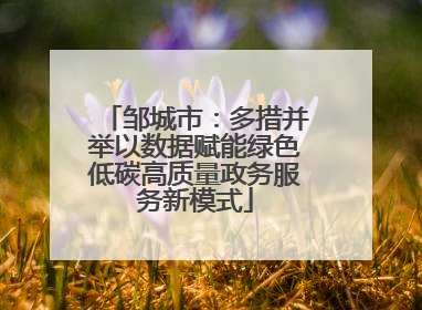 邹城市：多措并举以数据赋能绿色低碳高质量政务服务新模式