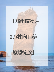 郑州植物园2万株向日葵热烈绽放