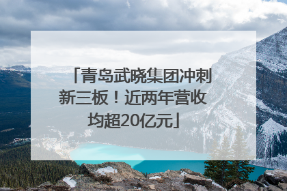 青岛武晓集团冲刺新三板！近两年营收均超20亿元
