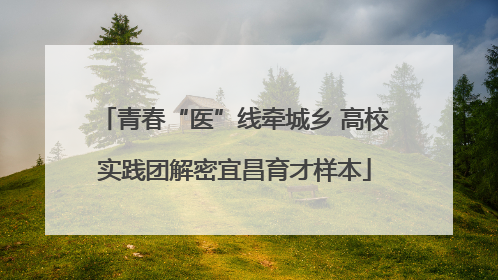 青春“医”线牵城乡 高校实践团解密宜昌育才样本