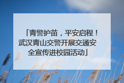 青警护苗，平安启程！武汉青山交警开展交通安全宣传进校园活动