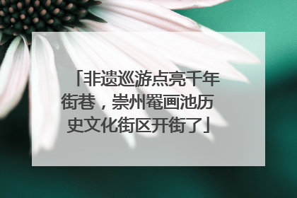 非遗巡游点亮千年街巷，崇州罨画池历史文化街区开街了