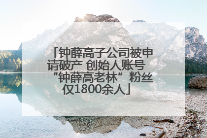 钟薛高子公司被申请破产 创始人账号“钟薛高老林”粉丝仅1800余人