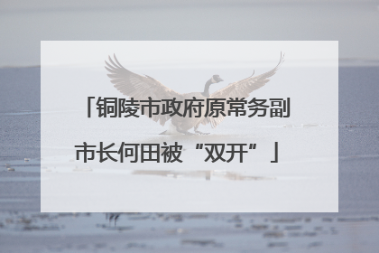 铜陵市政府原常务副市长何田被“双开”