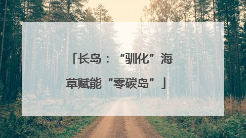 长岛：“驯化”海草赋能“零碳岛”