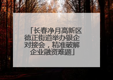 长春净月高新区德正街道举办银企对接会，精准破解企业融资难题