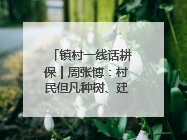 镇村一线话耕保｜周张博：村民但凡种树、建棚、盖房，都要向街道报批