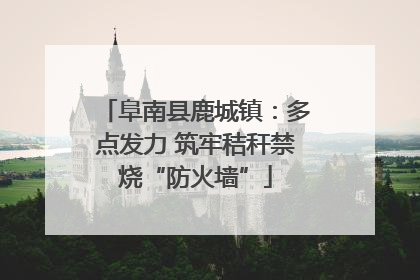 阜南县鹿城镇：多点发力 筑牢秸秆禁烧“防火墙”
