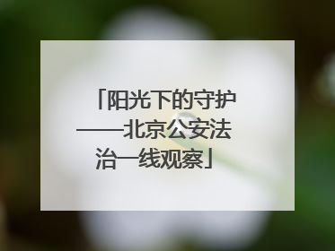 阳光下的守护——北京公安法治一线观察