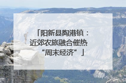 阳新县陶港镇：近郊农旅融合催热“周末经济”