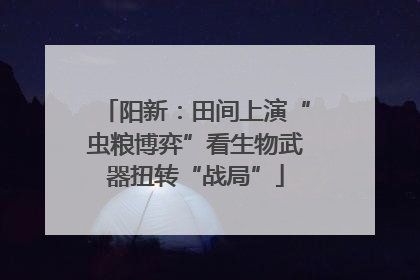 阳新：田间上演“虫粮博弈”看生物武器扭转“战局”
