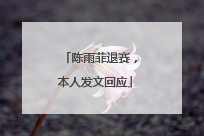 陈雨菲退赛，本人发文回应