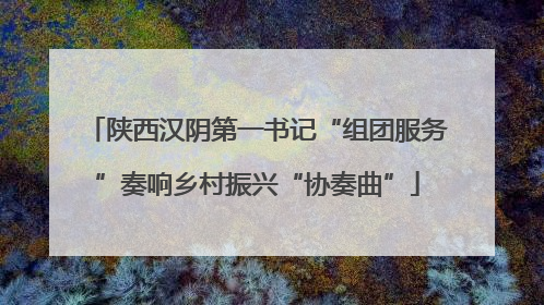 陕西汉阴第一书记“组团服务”奏响乡村振兴“协奏曲”