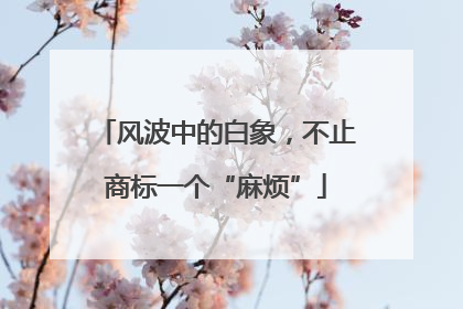 风波中的白象，不止商标一个“麻烦”