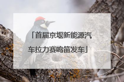 首届京堰新能源汽车拉力赛鸣笛发车