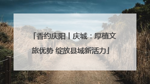 香约庆阳丨庆城：厚植文旅优势 绽放县域新活力