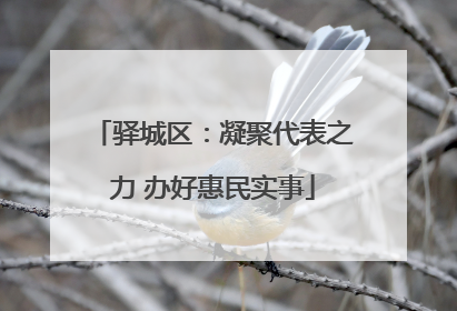 驿城区：凝聚代表之力 办好惠民实事