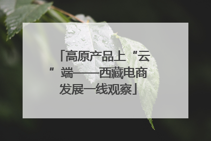 高原产品上“云”端——西藏电商发展一线观察