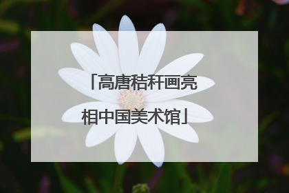 高唐秸秆画亮相中国美术馆