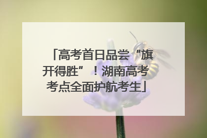 高考首日品尝“旗开得胜”！湖南高考考点全面护航考生