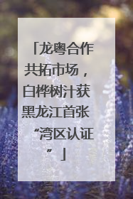 龙粤合作共拓市场，白桦树汁获黑龙江首张“湾区认证”