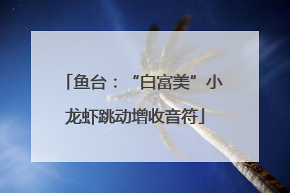 鱼台：“白富美”小龙虾跳动增收音符