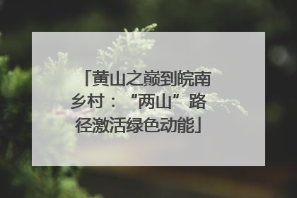 黄山之巅到皖南乡村：“两山”路径激活绿色动能