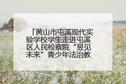 黄山市屯溪现代实验学校学生走进屯溪区人民检察院“昱见未来”青少年法治教育宣传基地