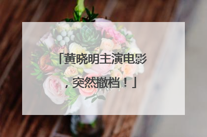 黄晓明主演电影，突然撤档！