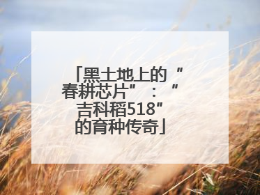 黑土地上的“春耕芯片”：“吉科稻518”的育种传奇